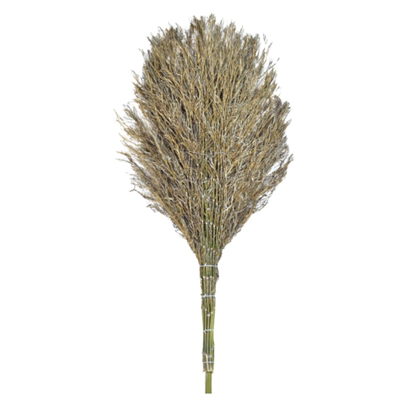 DP 环卫竹扫把大扫把竹马路扫竹子户外加大加宽扫院子扫帚竹笤帚竹扫把小笤帚工地专用-体式竹扫把2.5斤
