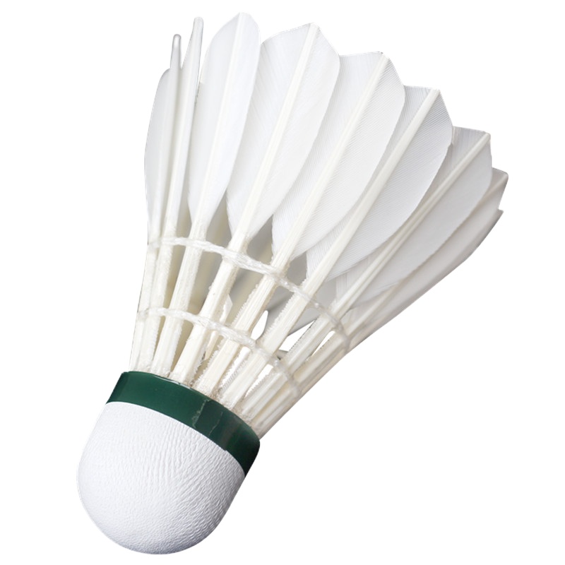 鑫亿康XYKPYW-028羽毛球 鹅毛耐打稳定羽毛球12只室内室外练习比赛训练羽毛球