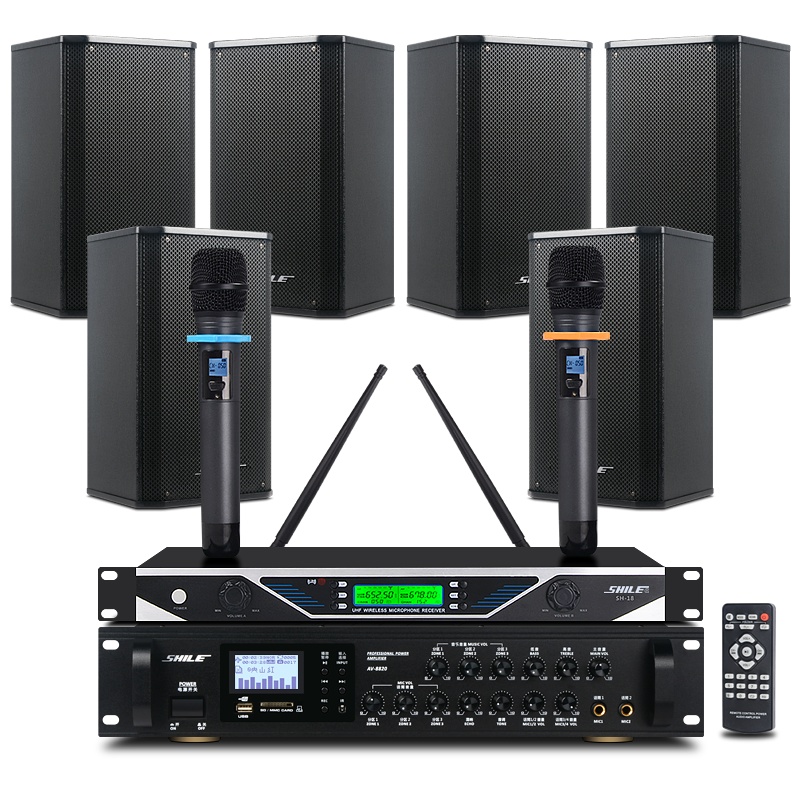 狮乐会议室音响组合套装(功放+壁挂音箱)专业会议背景音乐音响系统可选无线话筒套餐 8820+BX-108黑*6+SH18