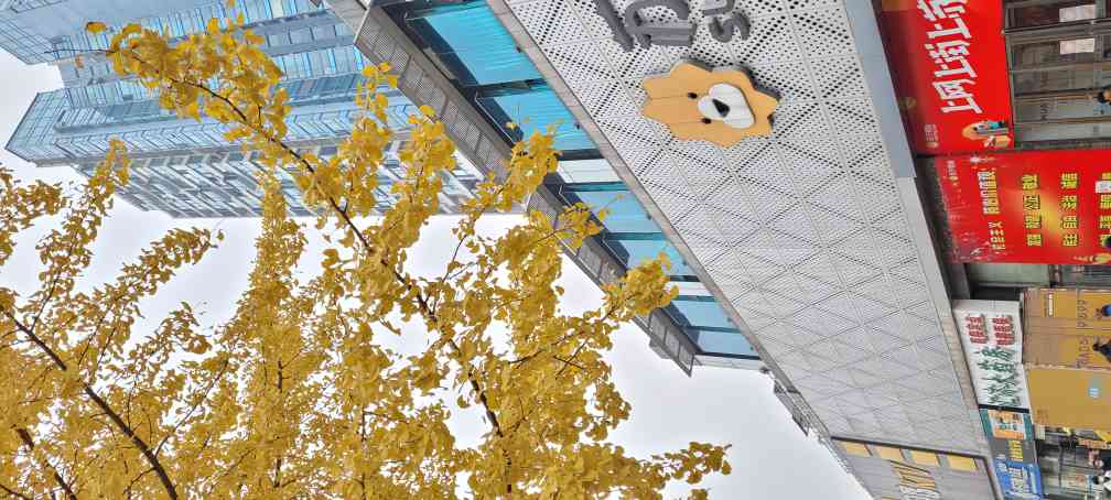 苏宁易购Suning Pro武汉唐家墩店